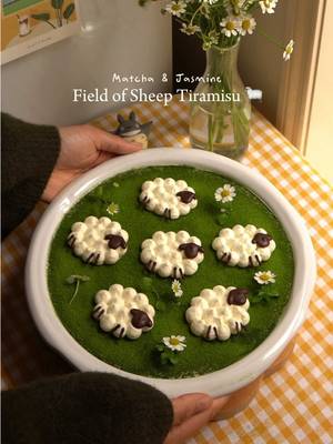 A spring themed matcha jasmine tiramisu 🐑🍵🌼 Inspired by the super cute sheep matcha lattes by matcha wang in shanghai 🫶🏻 I infused the cream with my favourite jasmine tea leaves from @jsy.tea_australia and dipped the ladyfingers in a matcha soak.  I made mine in a 22cm pie dish 🥧 18-20 ladyfingers/savoiardi 400g heavy cream 6g jasmine tea leaves 250g marscapone  50g caster sugar 2 egg yolks  pinch of salt  1/2 tsp vanilla bean paste  matcha soak: 200g hot water (80c) 10g matcha powder  10g caster sugar  decorations: 200g heavy cream  20g caster sugar  dark chocolate (melted)  1. To infuse the cream, gently heat the cream and jasmine tea together until just beginning to simmer. Remove from the heat, cover and let steep for 10-15 minutes (don’t leave it for too long, or it will taste bitter!) Strain and chill overnight.  2. For the sabayon, whisk the egg yolks, caster sugar, salt and vanilla over a bain-marie until the mixture is pale, thick and glossy, about 8-10 minutes. The mixture should reach 70°C (158°F) to cook the egg yolks :) 3. Let the mixture cool slightly, then fold through mascarpone 4. Whip the chilled jasmine cream to medium stiff peaks and fold into the mascarpone mixture 5. Whisk together matcha, caster sugar and hot water for the soak. Dip the sponge fingers into the matcha mixture and layer into your dish with the jasmine mascarpone cream. Repeat for the next layer, then smooth the top, cover and chill overnight 6. To decorate, place oval cut-outs of baking paper over the tiramisu and dust generously with matcha powder before removing the paper to reveal the oval shapes  7. Pipe whipped cream dollops for the wool 8. For the sheep faces and legs, pipe melted dark chocolate onto a lined baking tray. Chill until set 6. Once the chocolate details are set, carefully place them on with tweezers. Enjoy! 🐑 #Matcha#tiramisu #mollytea #baking #Recipe