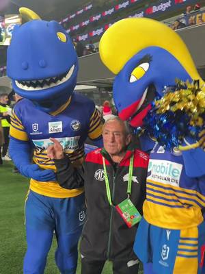 Frenemies π¬ @Rabbitohs #PARRAdise #nrl #nrltiktok #worldcupfinal #footyedit