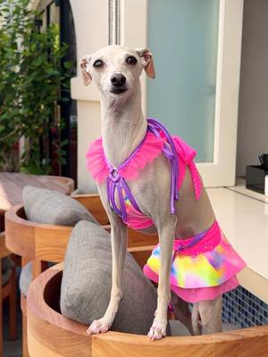 The ladies in Beverly Hills are so friendly 🍹