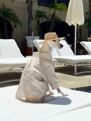 Linen shirt, wide-brimmed hat- she really is THAT girl.