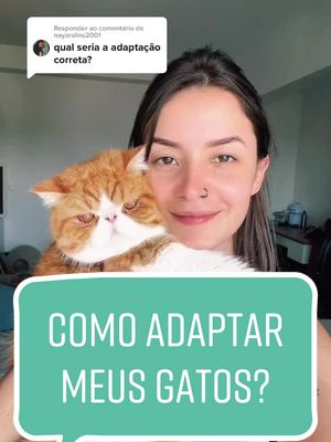 Responder @nayaralins2001 vocês sabiam que adaptar gatinhos é trabalhoso assim? Conta pra mim nos comentários! ☺️ #adaptacaodegatos #gatosdetiktok #comoadaptarmeusgatos #comportamentofelino