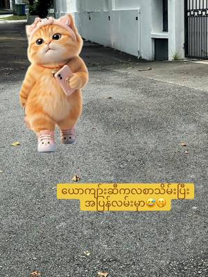 #CapCut #foryou #tiktokmyanmar2025❤️ #ရောက်စမ်းfypပေါ်🌻🌻🌻❤❤❤ #🌻🌻🌻🌻🌻🌻🌻🌻🌻🌻🌻🌻🌻❤❤❤