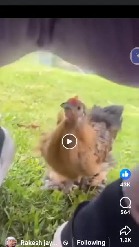 @vidaljohnson TikTok video cover