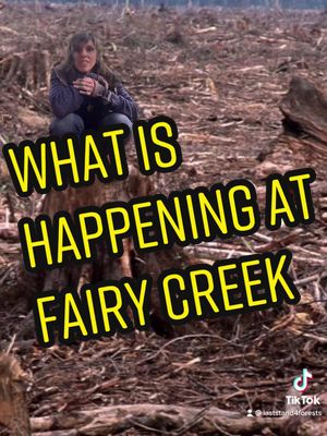 What’s happening at Fairy Creek in BC. Follow @laststand4forests #whichbetty #landback #laststand #canadianproblems #ecofroendly #cleanwater #water