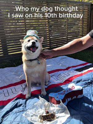 Kylo turned 10 today!