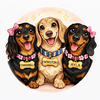 @ayla_themini_dachshund TikTok profile avatar