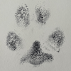 @boxer_winston TikTok profile avatar