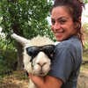 @useless_farm TikTok profile avatar