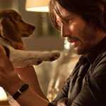 john-wick-com-cachorrinho