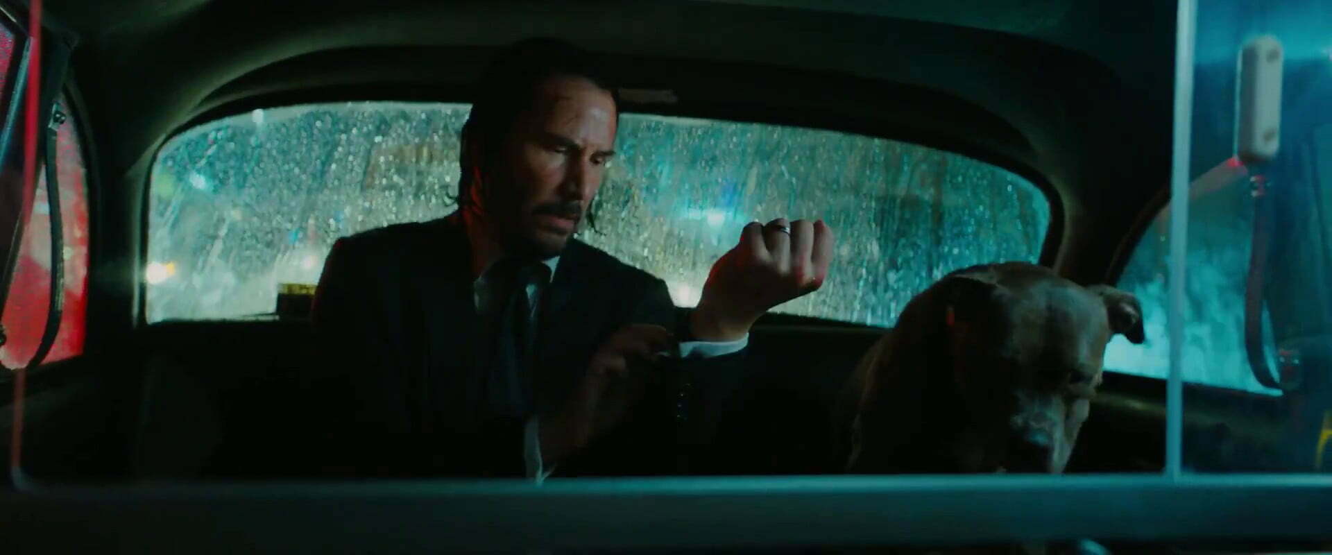 John Wick o tempo esta acabando - Pitbull Lindo