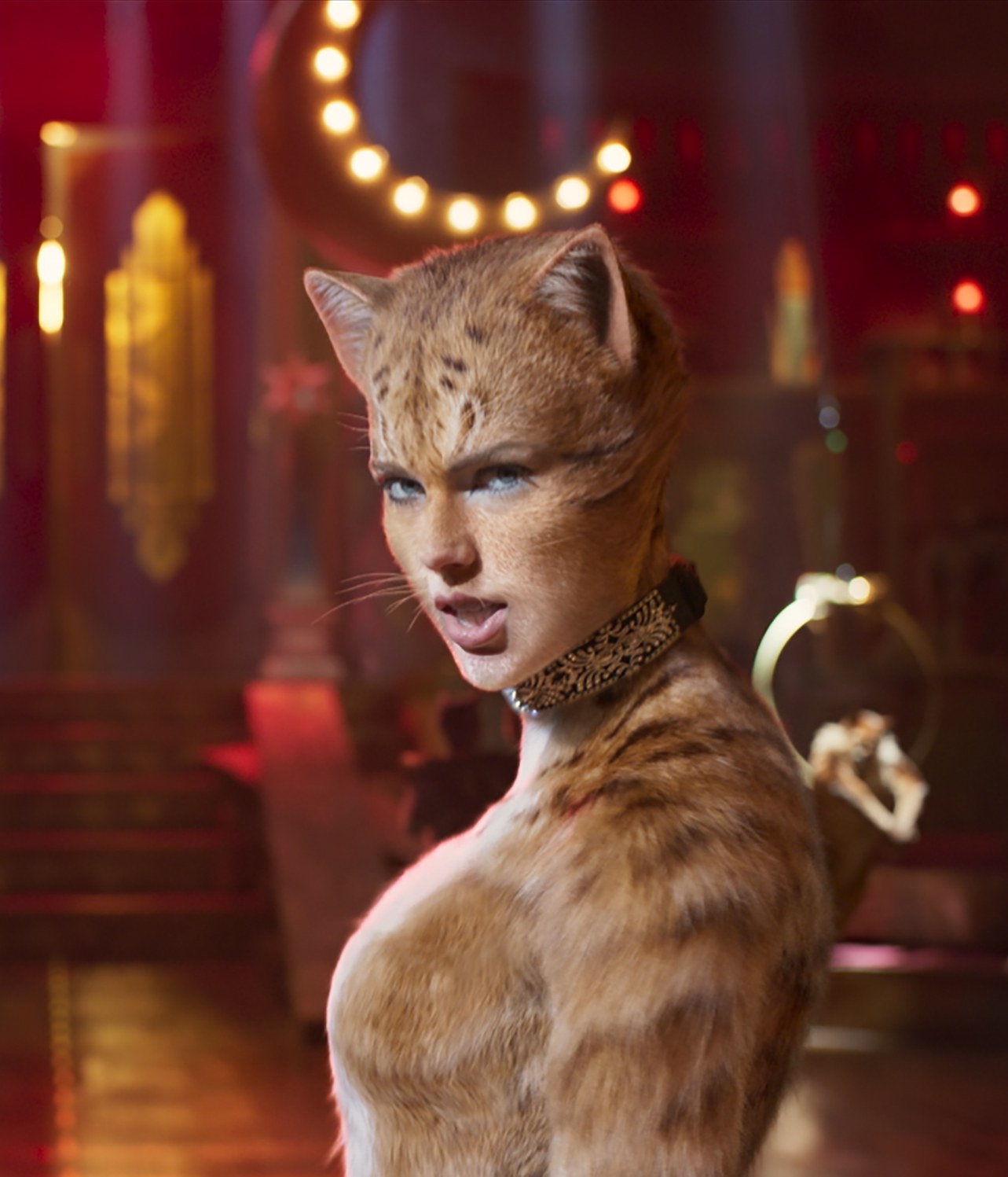 Universal remove Gatos da sua Premiação