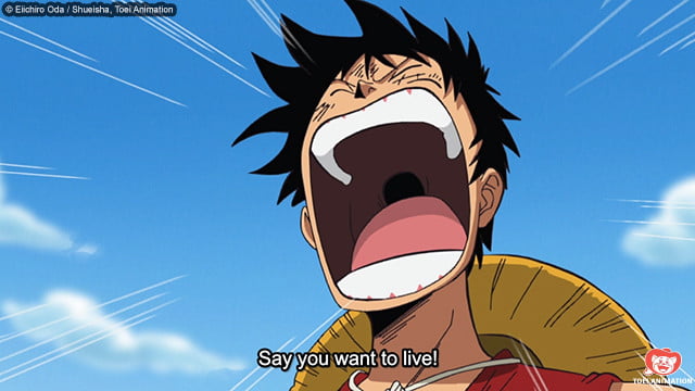 Luffy declara guerra