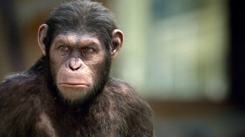 Novo filme Planeta dos Macacos