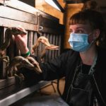 Fotos do Jurassic World 3 revelam o retorno da sequência clássica do dinossauro