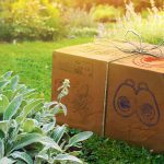 Lista de pesquisa de campo do Pokémon Go de setembro de 2020 recompensa revolucionária