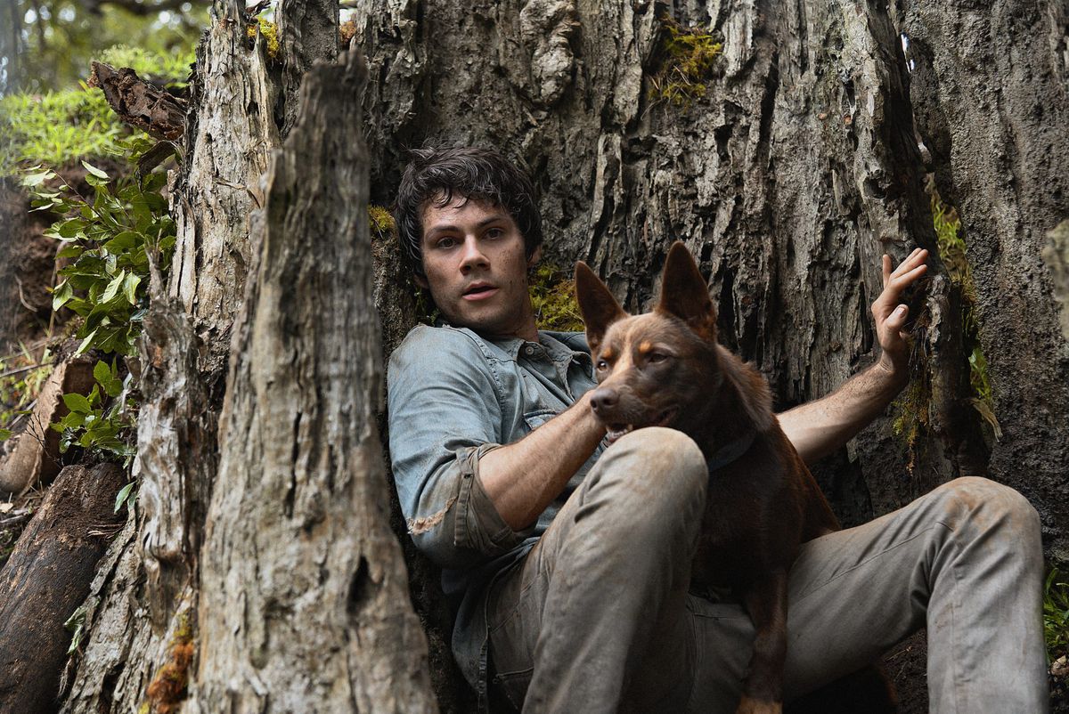 Love and Monsters: Dylan O’Brien estrela aventura pós-apocalíptica elogiada pela crítica 7