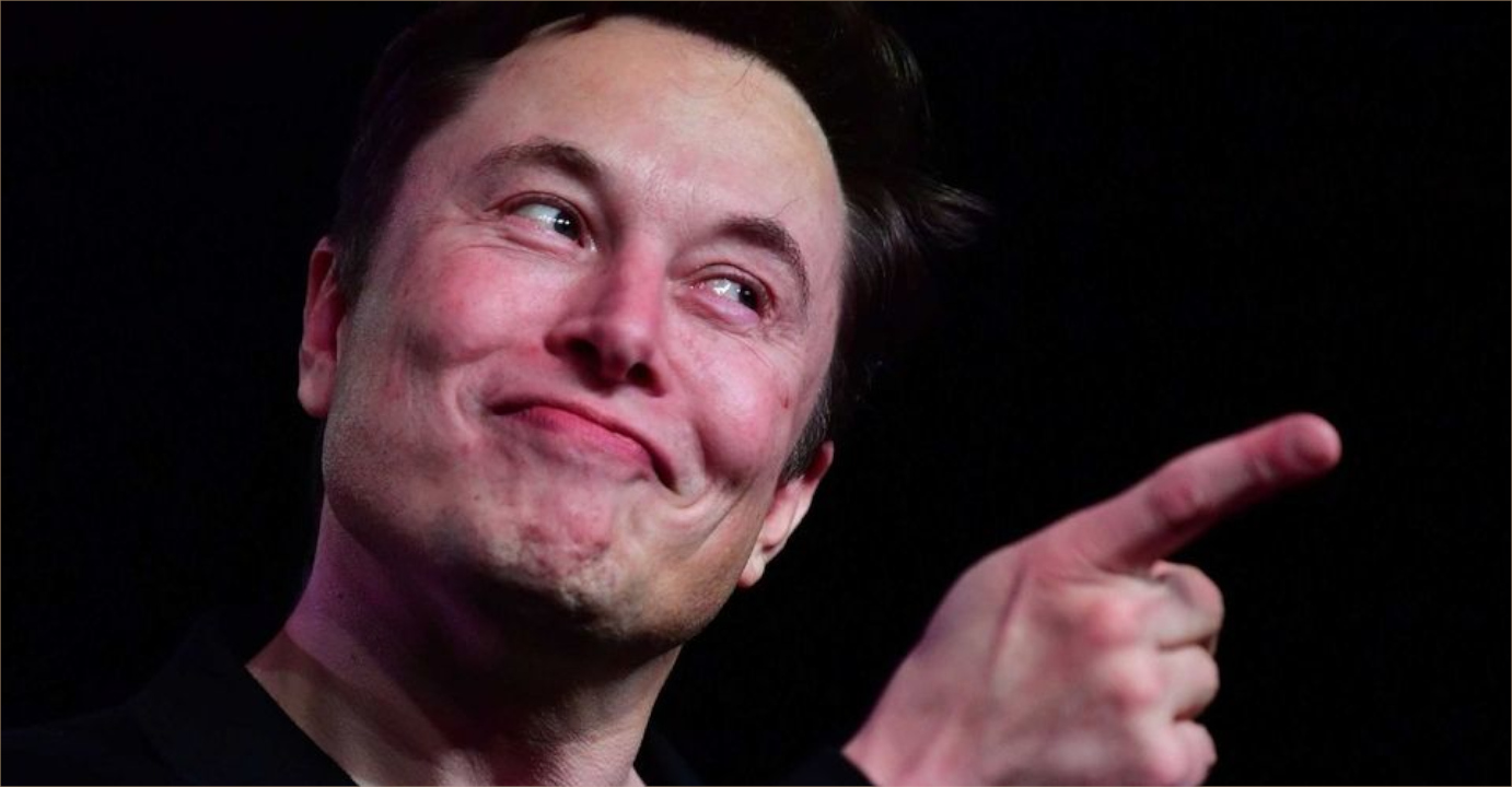 Elon Musk está ensinando um macaco a jogar videogame telepaticamente