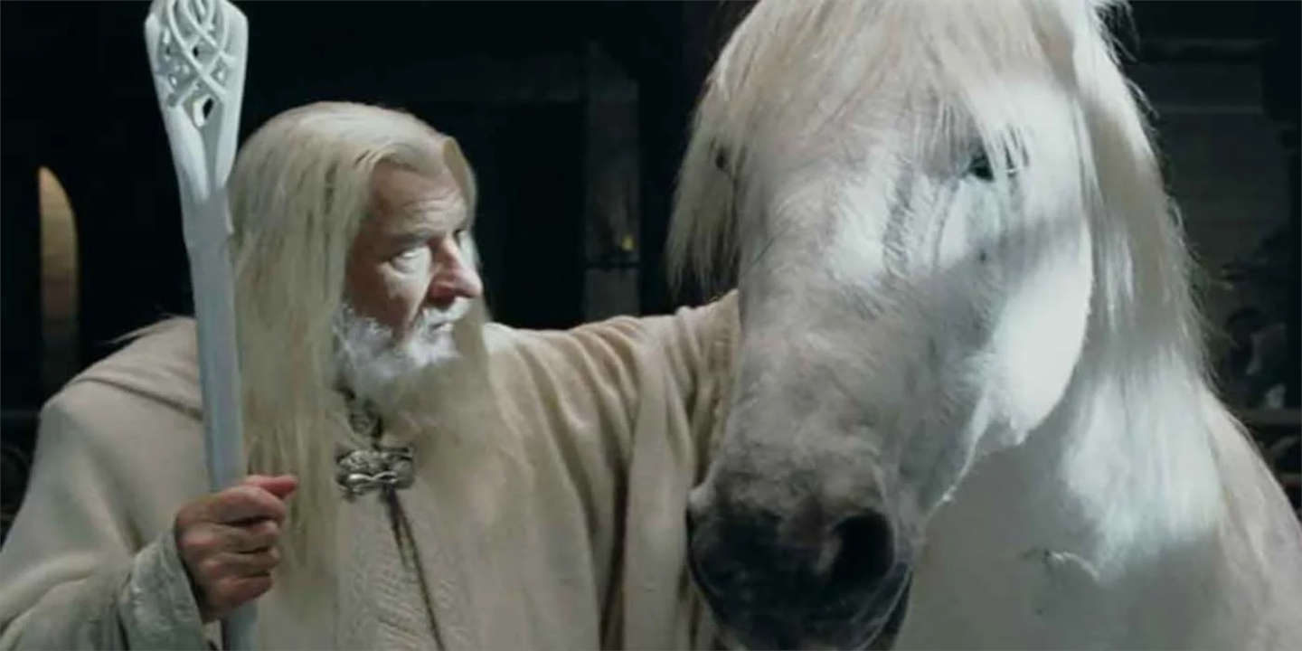 Senhor dos Anéis: A Origem do Cavalo de Gandalf Shadowfax