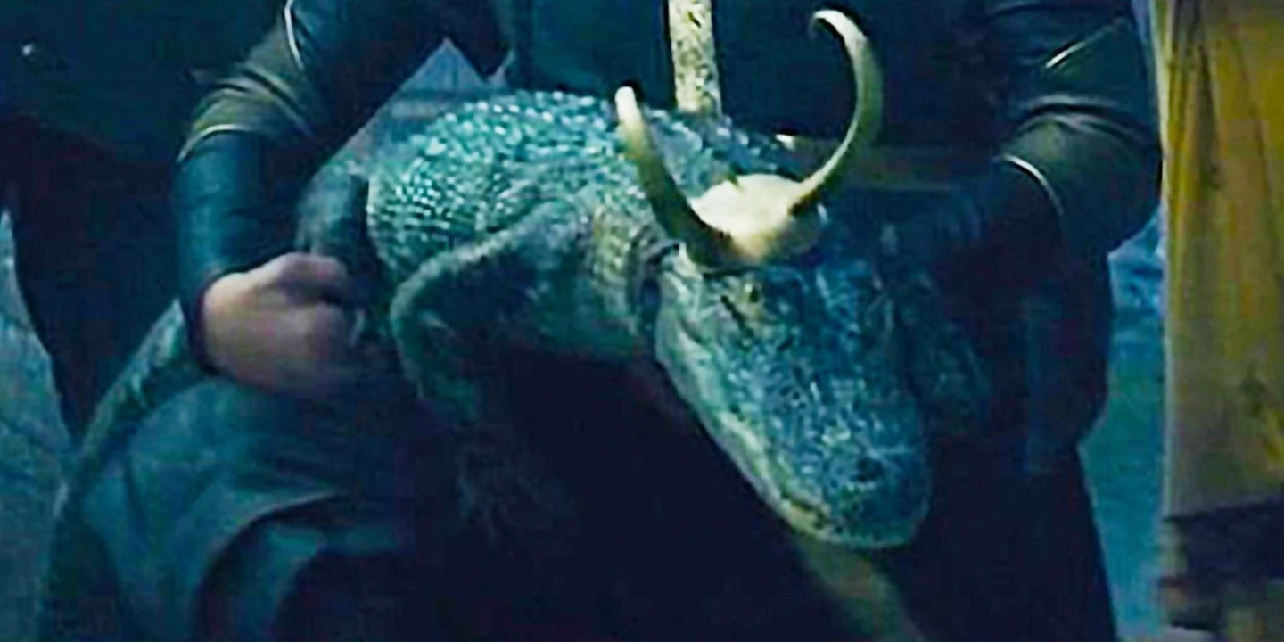 O redator principal de Loki revela se a variante reptiliana é um crocodilo ou um jacaré