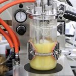 Bactérias projetadas para fazer produtos químicos essenciais oferecem uma fonte renovável de borracha sintética