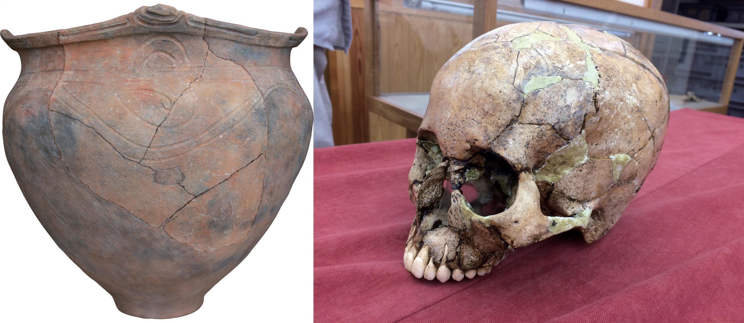 DNA antigo extraído de ossos humanos reescreve a história do início do Japão - As populações modernas têm origem genética tripartida