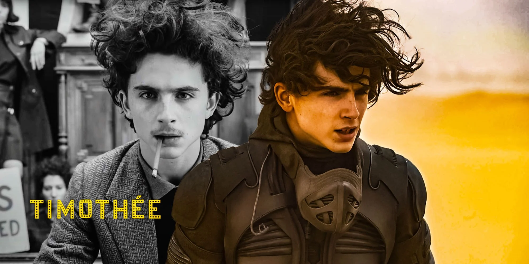 Este fim de semana provou que Timothée Chalamet é bilheteria ouro