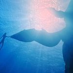 Produtor de Avatar 2 explica as criaturas alienígenas sencientes e parecidas com baleias do filme