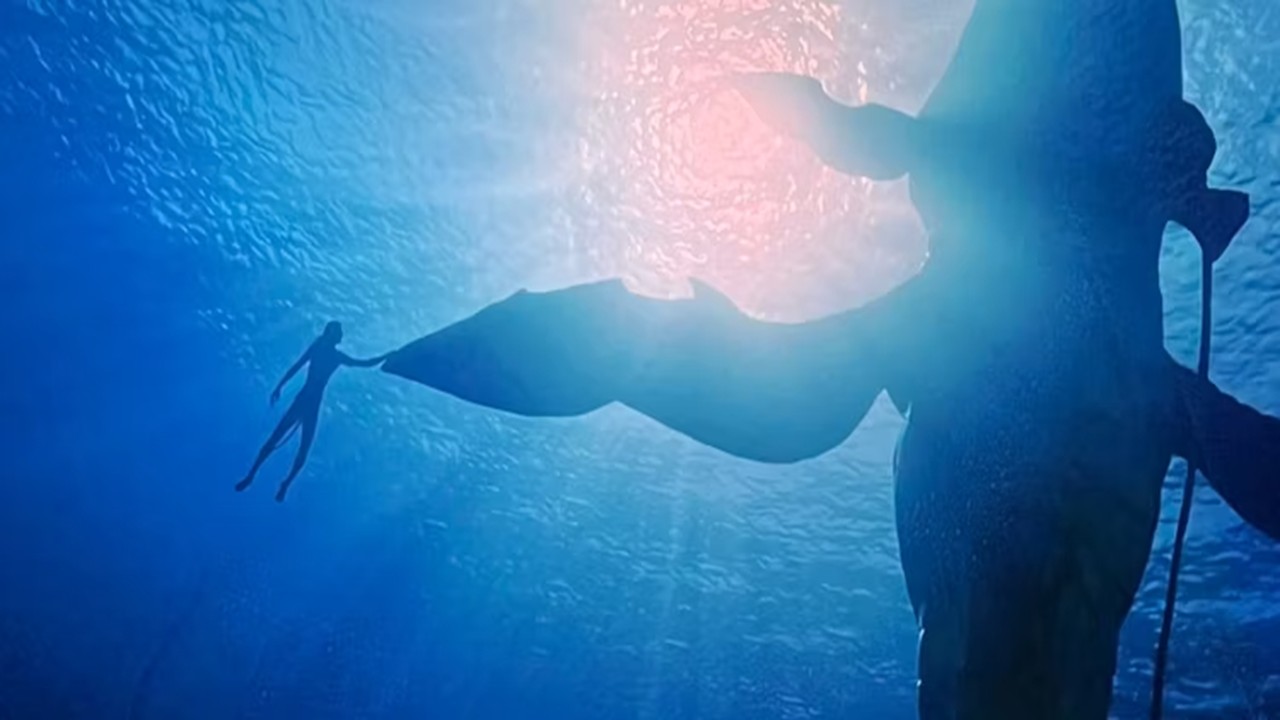 Produtor de Avatar 2 explica as criaturas alienígenas sencientes e parecidas com baleias do filme