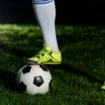 Atual campeão; Palmeiras estreia no Campeonato Paulista neste Sábado