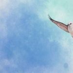 Como Jogar Wingspan Solo