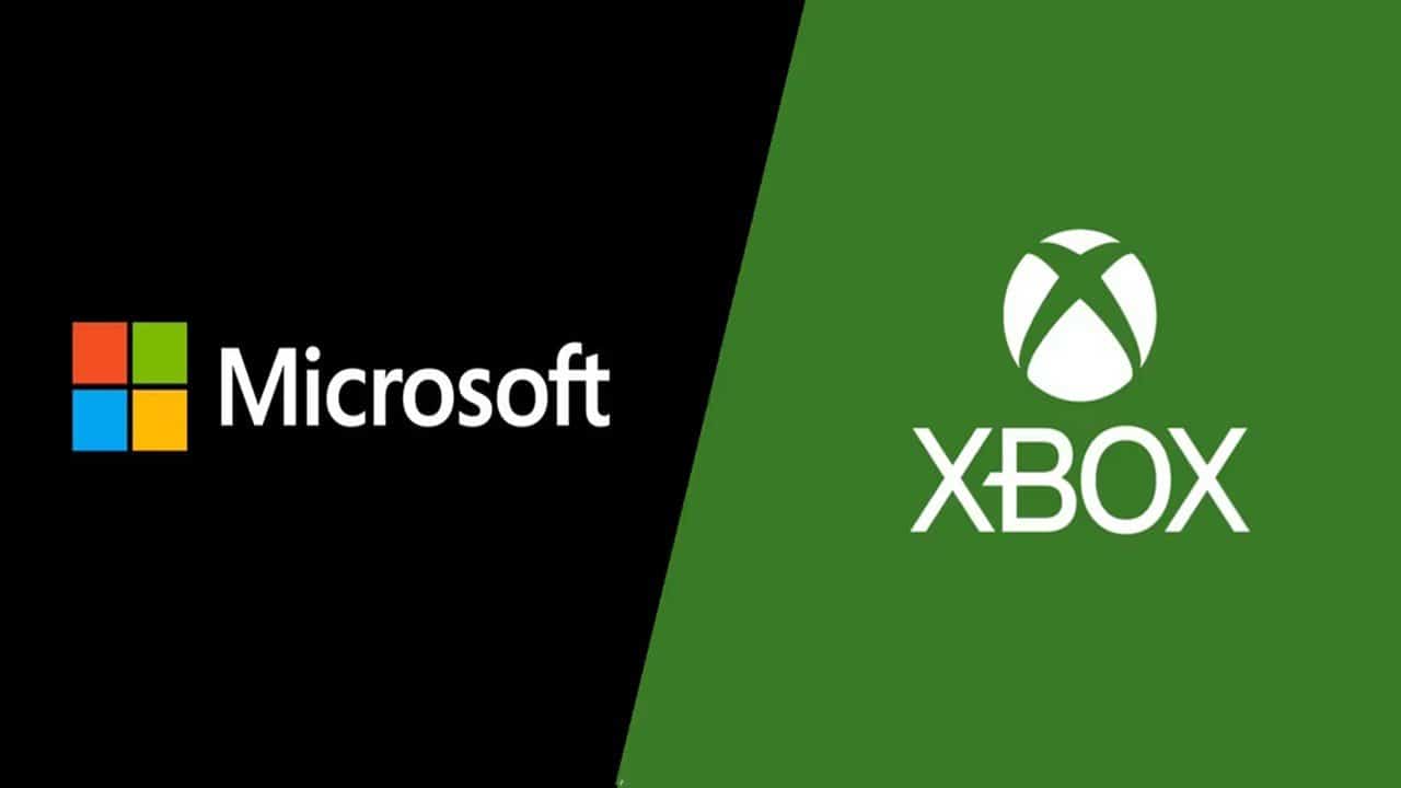Microsoft Corta Equipe de DEI: 'Os programas DEI em todos os lugares não são mais essenciais para os negócios'