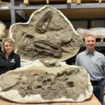 RefFóssil de Tiranossauro Revela sua Última Refeição de 'Bebês Dinossauros' de Maneira Extraordinária