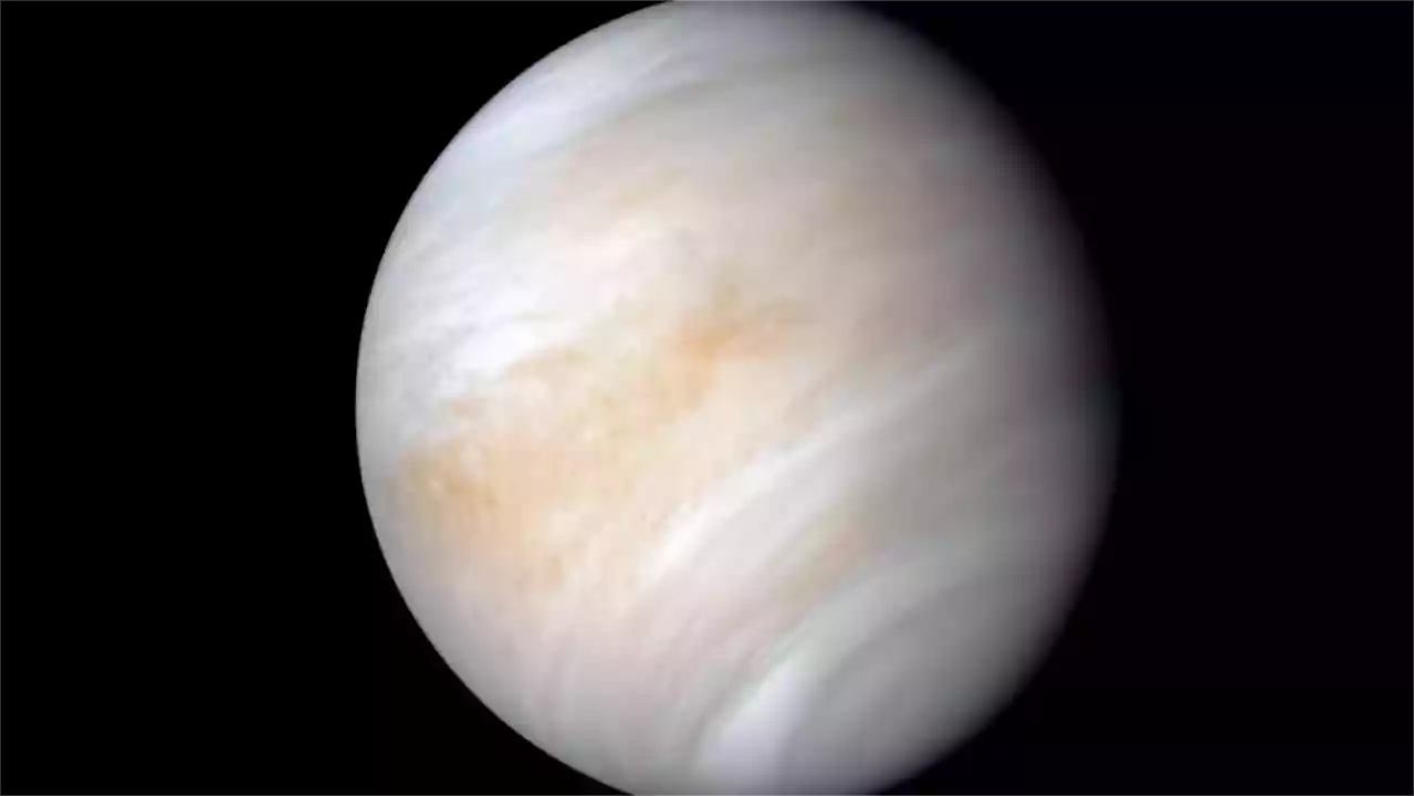 Sinal de Vida nas Nuvens de Vênus: O Que os Cientistas Encontraram Agora?