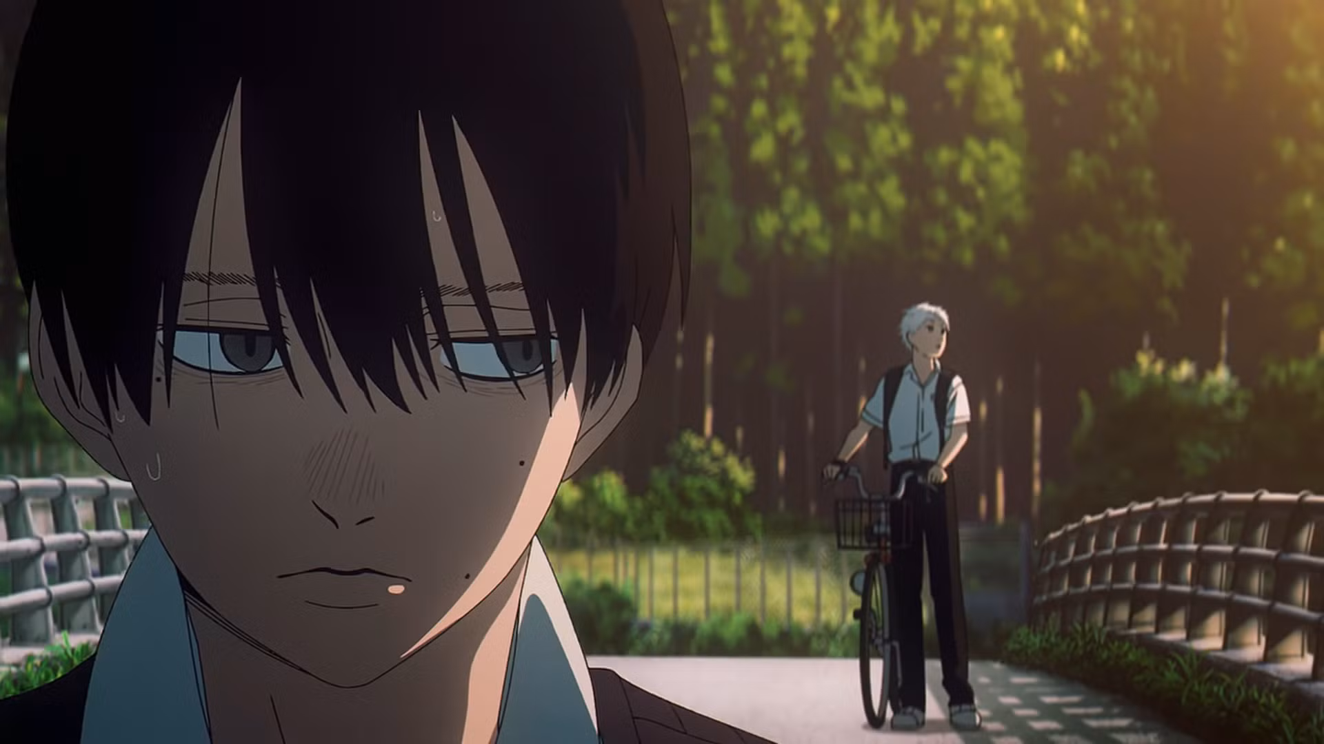 The Summer Hikaru Died