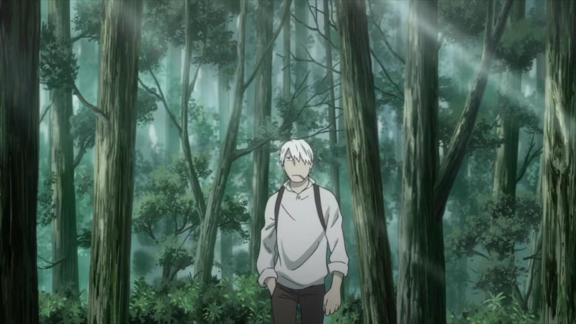 Mushishi: o sobrenatural como experiência contemplativa