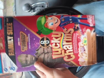Consumer Review - Food Safety Lucky charms cereal, Walmart Supercenter, Rome-Taberg Road, Rome, NY, USA So my kids have been eatin... photo #3