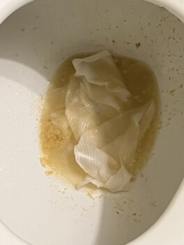 Consumer Review - Food Safety Popeyes Louisiana Kitchen, Old Industrial Boulevard, McDonough, GA, USA I think it was food poisonin... photo #2