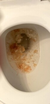 Consumer Review - Food Safety Popeyes Louisiana Kitchen, Old Industrial Boulevard, McDonough, GA, USA I think it was food poisonin... photo #3