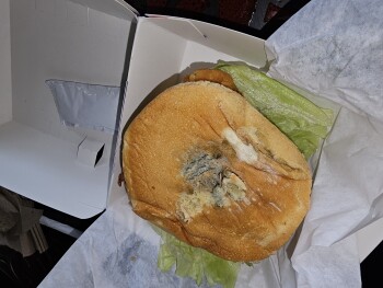 Consumer Review - Food Safety Jack in the Box, 2701 E Cesar E Chavez Ave, Los Angeles, CA 90033, USA El domingo que paso Diarrea p... photo #1