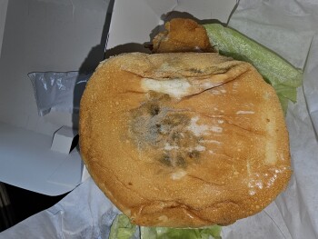 Consumer Review - Food Safety Jack in the Box, 2701 E Cesar E Chavez Ave, Los Angeles, CA 90033, USA El domingo que paso Diarrea p... photo #2