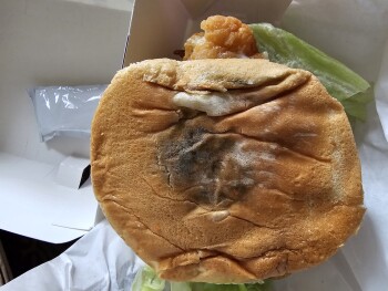 Consumer Review - Food Safety Jack in the Box, 2701 E Cesar E Chavez Ave, Los Angeles, CA 90033, USA El domingo que paso Diarrea p... photo #6