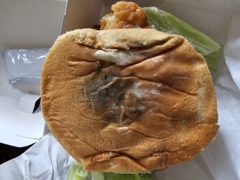 Consumer Review - Food Safety Jack in the Box, 2701 E Cesar E Chavez Ave, Los Angeles, CA 90033, USA El domingo que paso Diarrea p... photo #7