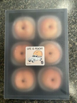 Food Recall Life Raft Treats Ice Cream Products UPDATE - recalled due to Listeria monocytogenes Life Raft Treats... photo #5