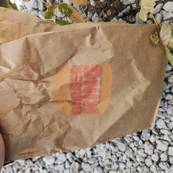 Consumer Review - Food Safety Burger King, Howe Avenue, Cuyahoga Falls, OH, USA Ventured out of my usual and craving a whopper Jr... photo #3
