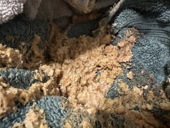 Consumer Review - Food Safety KFC, 2540 Delk Road Southeast, Marietta, GA, USA 10/05/2023 Thursday evening; purchased $20 Fill-up... photo #3