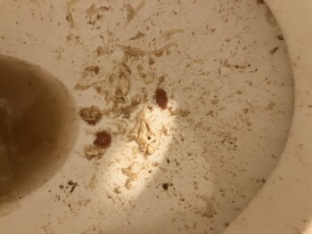 Consumer Review - Food Safety Healthy Choice Cafe Steamers, Walmart Supercenter, North Congress Avenue, Lake Park, FL 33404, USA I... photo #1