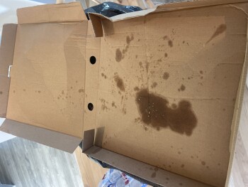 Consumer Review - Food Safety Bluestone Resort, Narberth, UK Ruined holiday. 2 parents, 1 child, food poisoning after day 1 at blu... photo #2