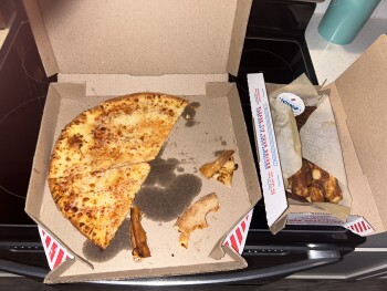Consumer Review - Food Safety Domino's Pizza, South George Wallace Drive, Troy, AL, USA Niw Dominos pizza photo #1