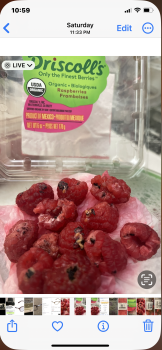 消费者评论 - 食品安全 Publix Super Market at Addison Centre, Jog Road, Delray Beach, FL, USA This is the second time that... 照片 #2