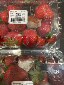 消费者评论 - 食品安全 Publix Super Market at Addison Centre, Jog Road, Delray Beach, FL, USA This is the second time that... 照片 #8